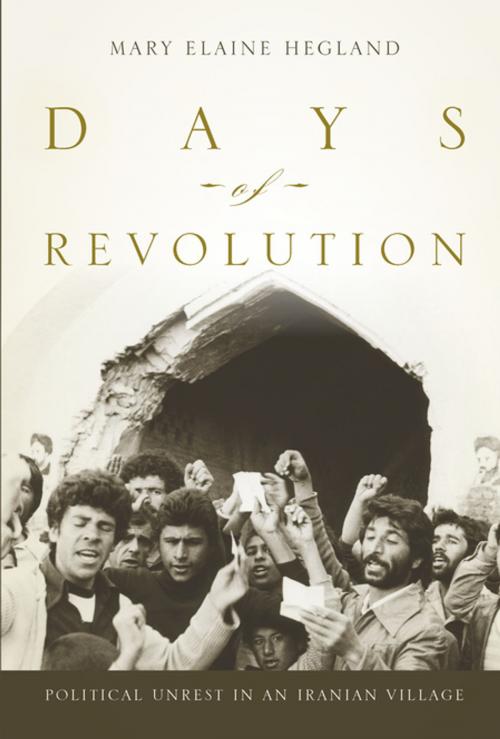 Cover of the book Days of Revolution by Mary Elaine Hegland, Stanford University Press