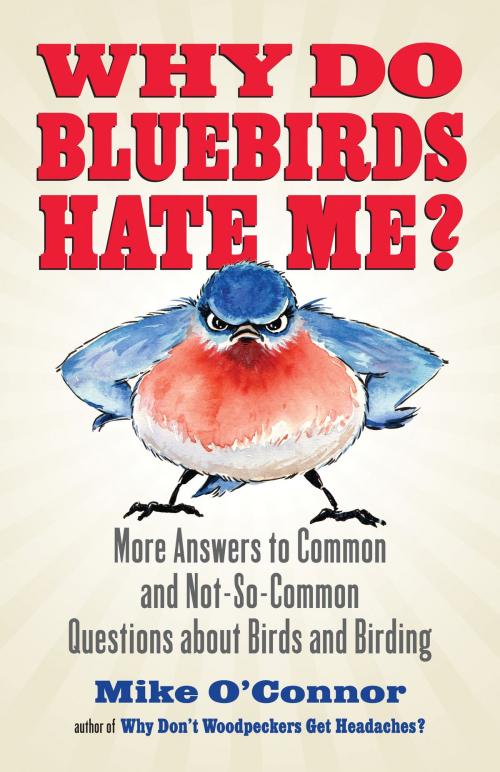 Cover of the book Why Do Bluebirds Hate Me? by Mike O'Connor, Beacon Press