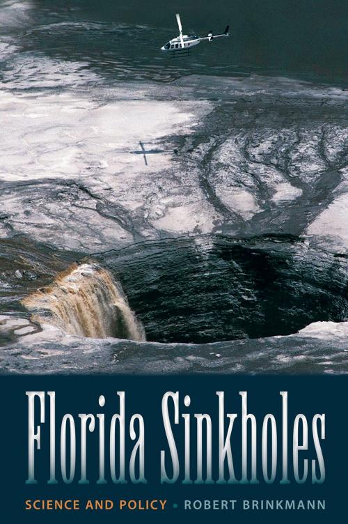 Cover of the book Florida Sinkholes by Robert Brinkmann, University Press of Florida