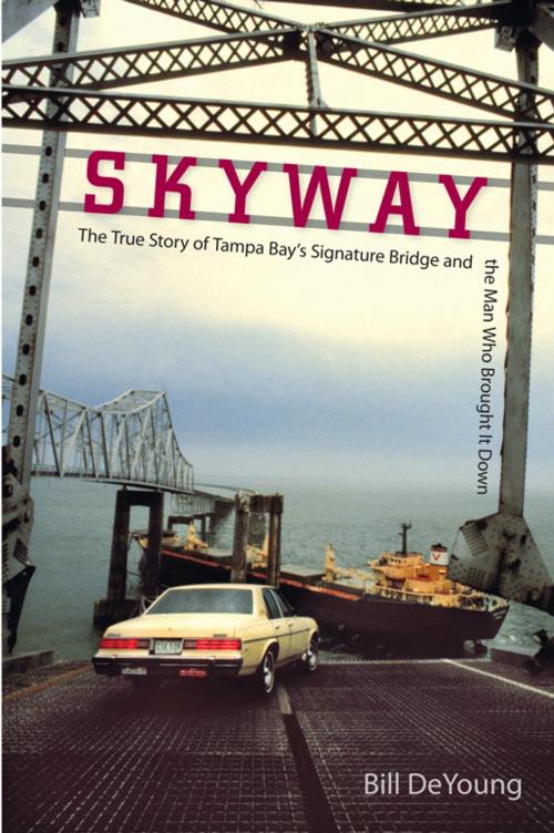 Cover of the book Skyway by Bill DeYoung, University Press of Florida