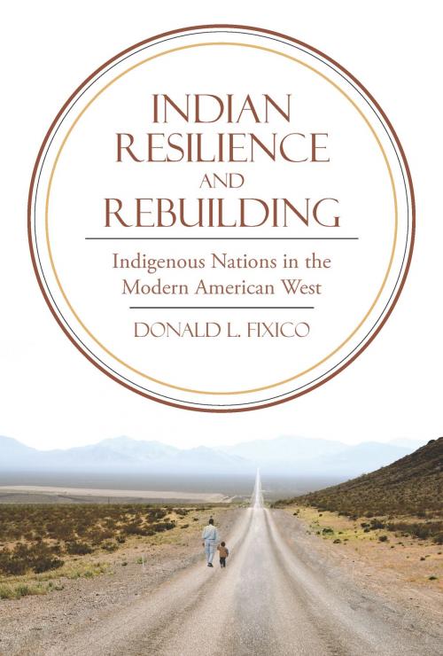 Cover of the book Indian Resilience and Rebuilding by Donald L. Fixico, University of Arizona Press