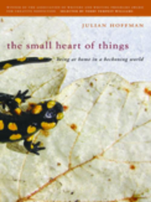 Cover of the book The Small Heart of Things by Julian Hoffman, Terry Williams, University of Georgia Press