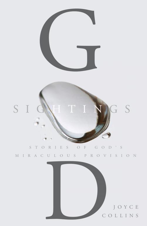 Cover of the book God Sightings by Williams, Joyce, Nazarene Publishing House