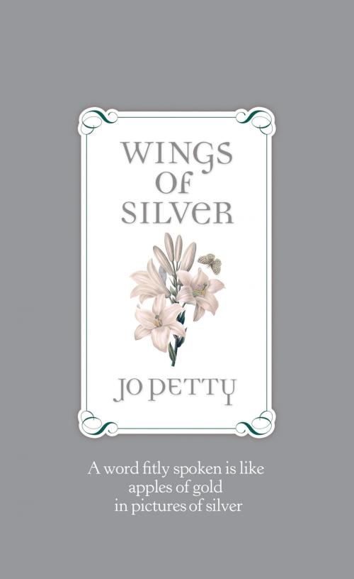 Cover of the book Wings of Silver by Jo Petty, Bristol Park Books