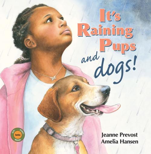 Cover of the book It's Raining Pups and Dogs! by Jeanne Prevost, The Gryphon Press