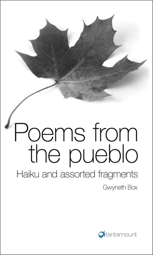 Cover of the book Poems from the pueblo. Haiku and assorted fragments by Gwyneth Box, Tantamount