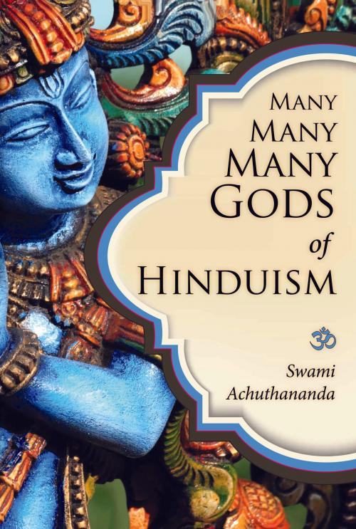 Cover of the book Many Many Many Gods of Hinduism by Swami Achuthananda, Swami Achuthananda