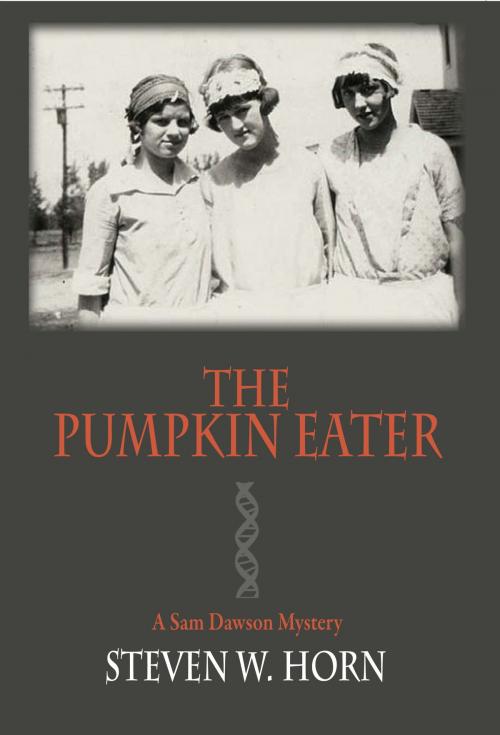 Cover of the book The Pumpkin Eater by Steven W. Horn, Granite Peak Press
