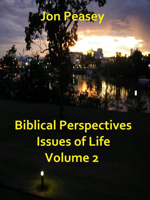 Cover of the book Biblical Perspectives Issues of Life Volume 2 by Jon Peasey, Jon Peasey