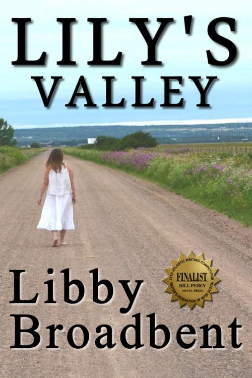 Cover of the book Lily's Valley by Libby Broadbent, MidLife Mache