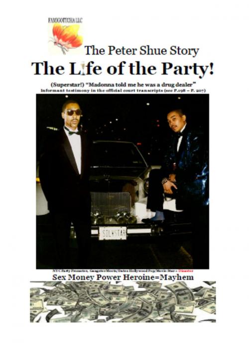 Cover of the book The Peter Shue Story/ The Life of the Party! by Peter Shue, Terence Wallace, famigottcha