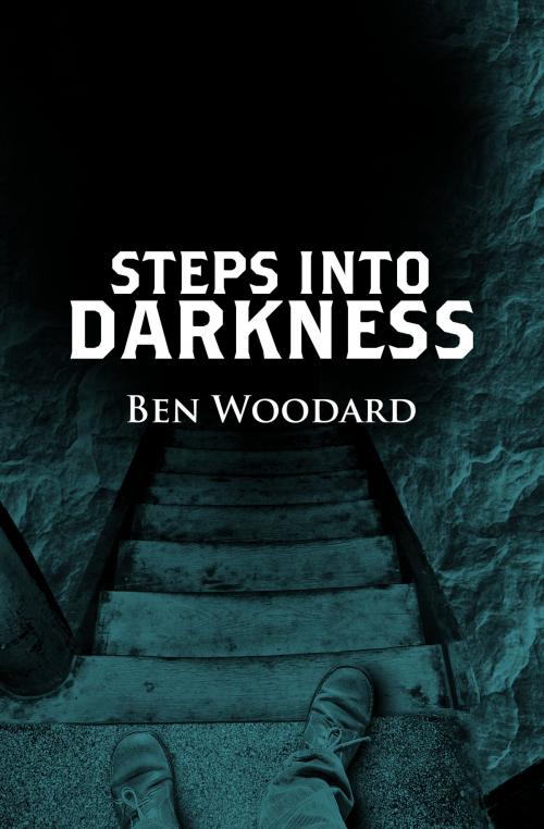Cover of the book Steps Into Darkness by Ben Woodard, Miller-Martin