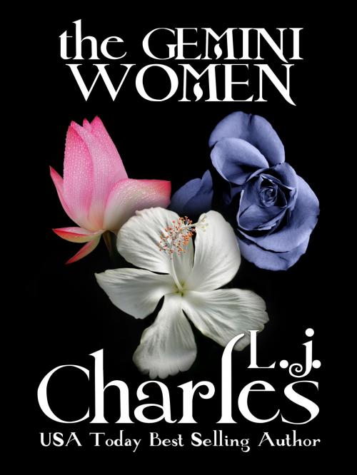 Cover of the book The Gemini Women Trilogy by L.j. Charles, Amentino Publishing