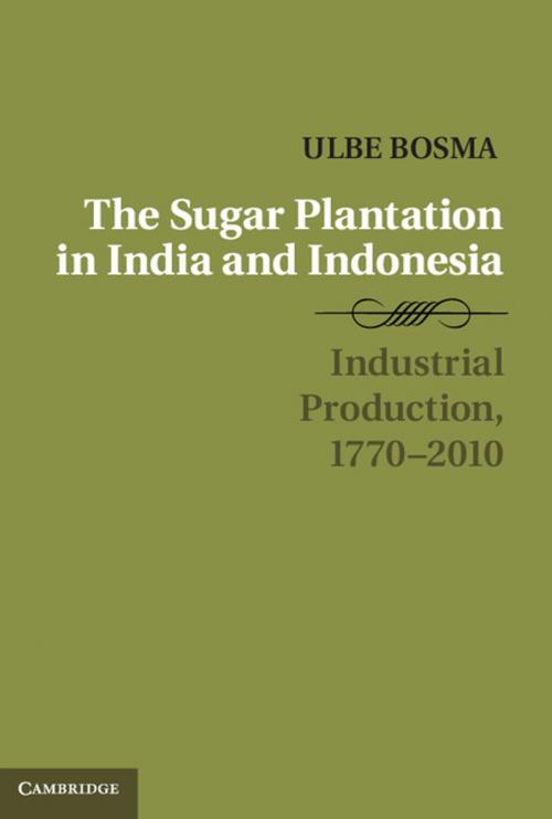 Cover of the book The Sugar Plantation in India and Indonesia by Ulbe Bosma, Cambridge University Press