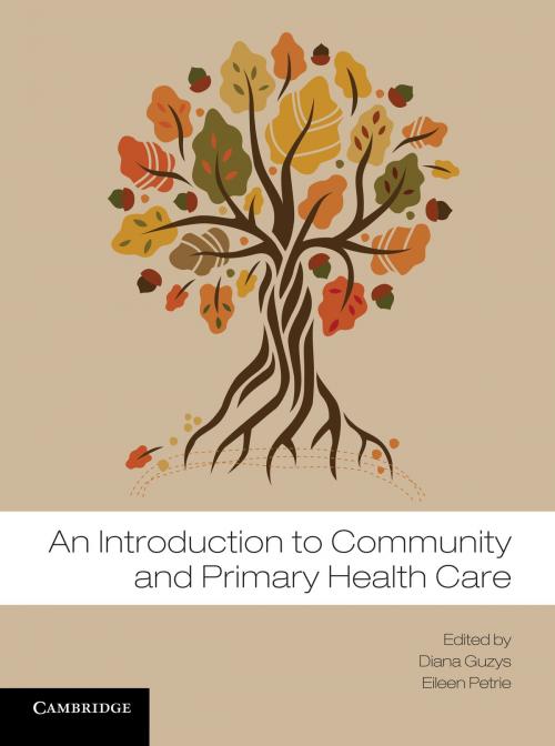 Cover of the book An Introduction to Community and Primary Health Care by Diana Guzys, Eileen Petrie, Cambridge University Press