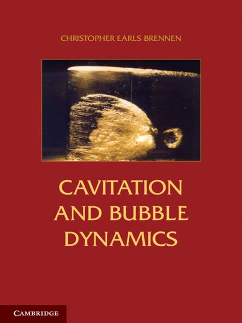 Cover of the book Cavitation and Bubble Dynamics by Christopher Earls Brennen, Cambridge University Press