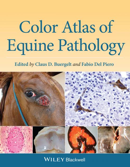 Cover of the book Color Atlas of Equine Pathology by , Wiley