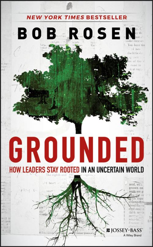 Cover of the book Grounded by Bob Rosen, Wiley