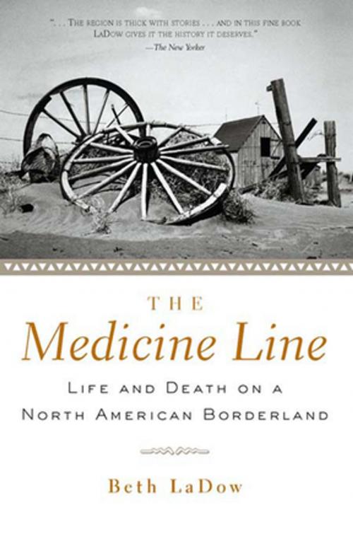 Cover of the book The Medicine Line by Beth LaDow, Taylor and Francis