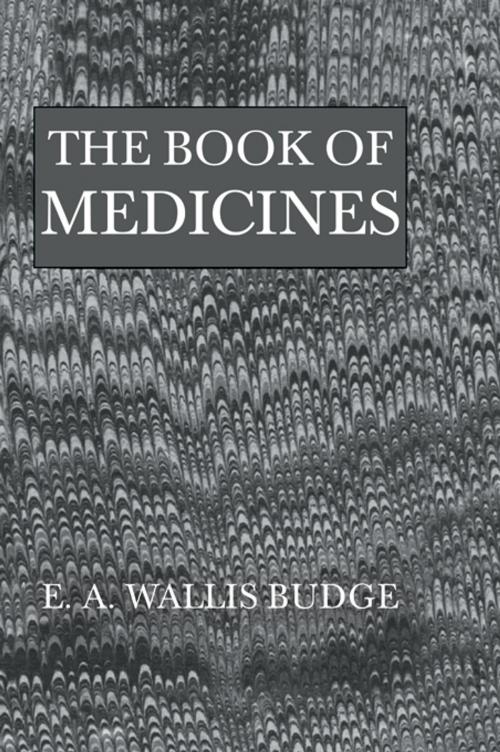 Cover of the book Book Of Medicines by Budge, Taylor and Francis