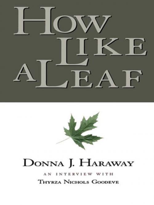 Cover of the book How Like a Leaf by Donna Haraway, Thyrza Goodeve, Taylor and Francis