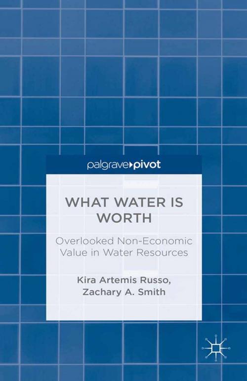 Cover of the book What Water Is Worth: Overlooked Non-Economic Value in Water Resources by K. Russo, Z. Smith, Palgrave Macmillan US