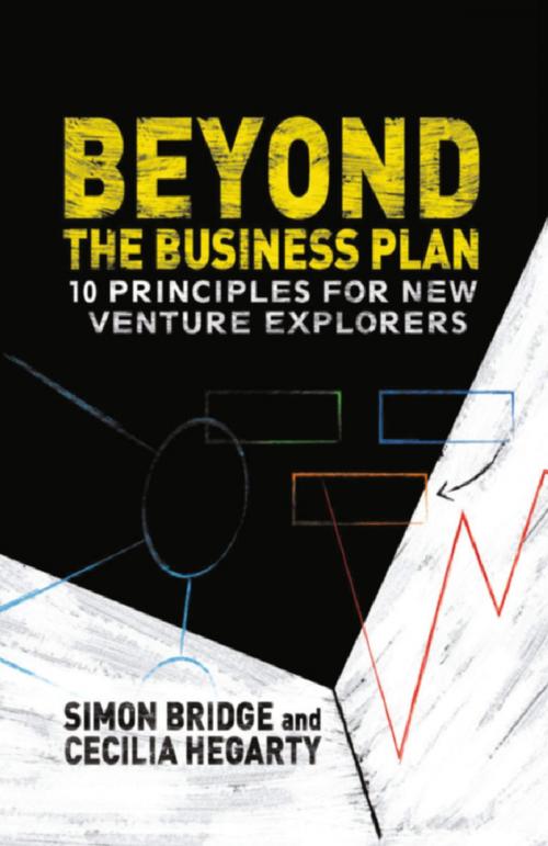 Cover of the book Beyond the Business Plan by S. Bridge, C. Hegarty, Palgrave Macmillan UK
