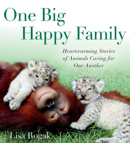 Cover of the book One Big Happy Family by Lisa Rogak, St. Martin's Press