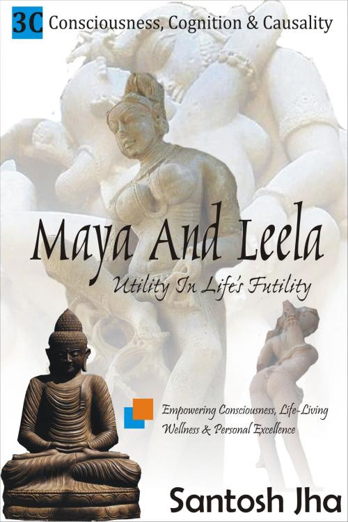 Cover of the book Maya And Leela: Utility In Life’s Futility by Santosh Jha, Santosh Jha