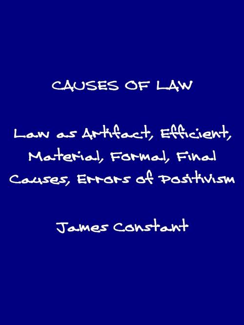 Cover of the book The Causes of Law by James Constant, James Constant