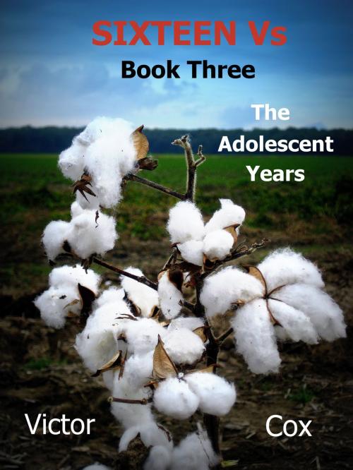 Cover of the book Sixteen Vs, Book Three, The Adolescent Years by Victor Cox, Victor Cox