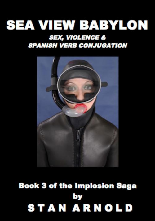 Cover of the book Sea View Babylon: Sex, Violence & Spanish Verb Conjugation by Stan Arnold, Stan Arnold