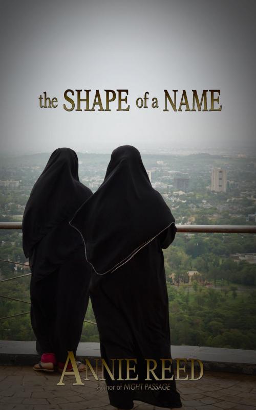 Cover of the book The Shape of a Name by Annie Reed, Thunder Valley Press