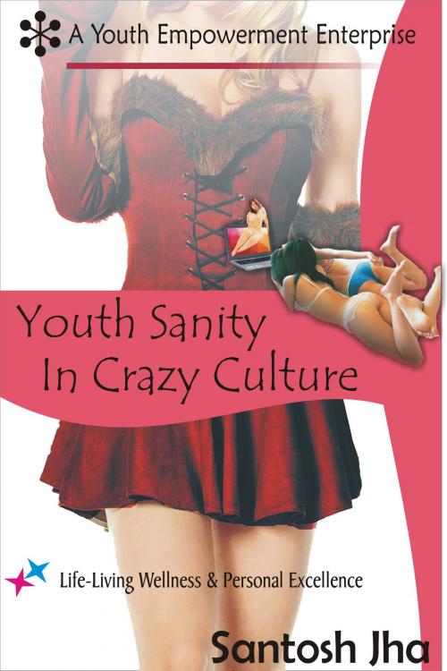 Cover of the book Youth Sanity In Crazy Culture by Santosh Jha, Santosh Jha