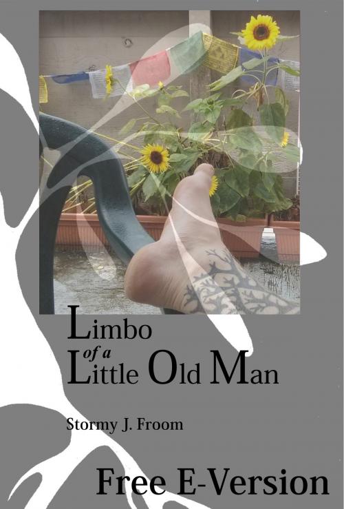 Cover of the book Limbo of a Little Old Man by Stormy Froom, Stormy Froom