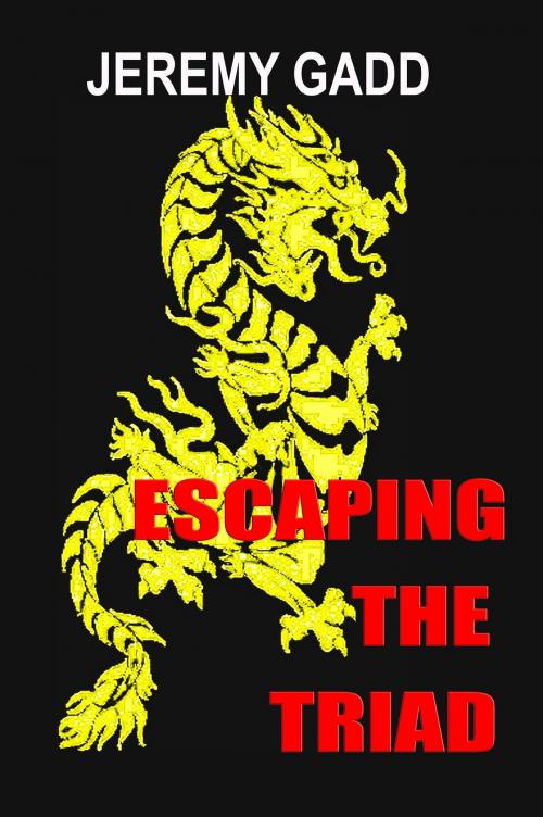 Cover of the book Escaping the Triad by Jeremy Gadd, CUSTOM BOOK PUBLICATIONS