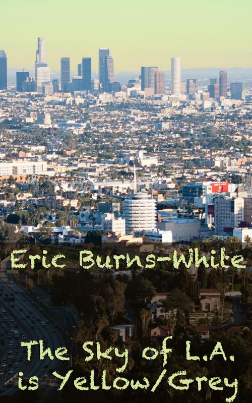 Cover of the book The Sky of L.A. is Yellow/Grey by Eric Burns-White, Eric Burns-White
