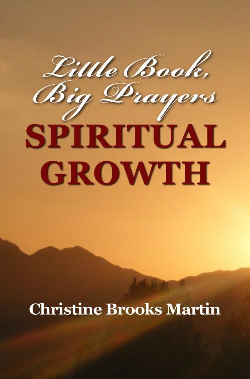 Cover of the book Little Book, Big Prayers: Spiritual Growth by Christine Brooks Martin, Christine Brooks Martin