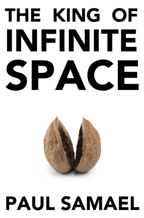 Cover of the book The King of Infinite Space by Paul Samael, Paul Samael