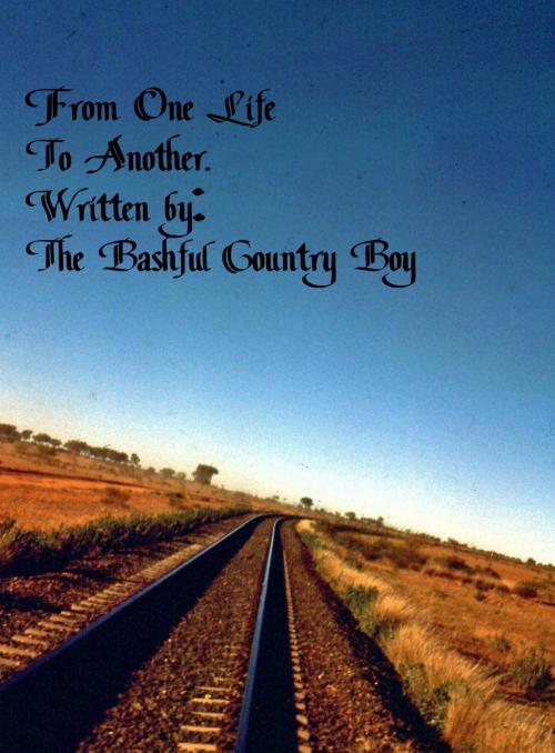 Cover of the book From One Life to Another by The Bashful Country Boy, The Florida Hoosier