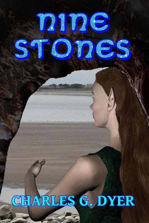 Cover of the book Nine Stones by Charles G. Dyer, Charles G. Dyer
