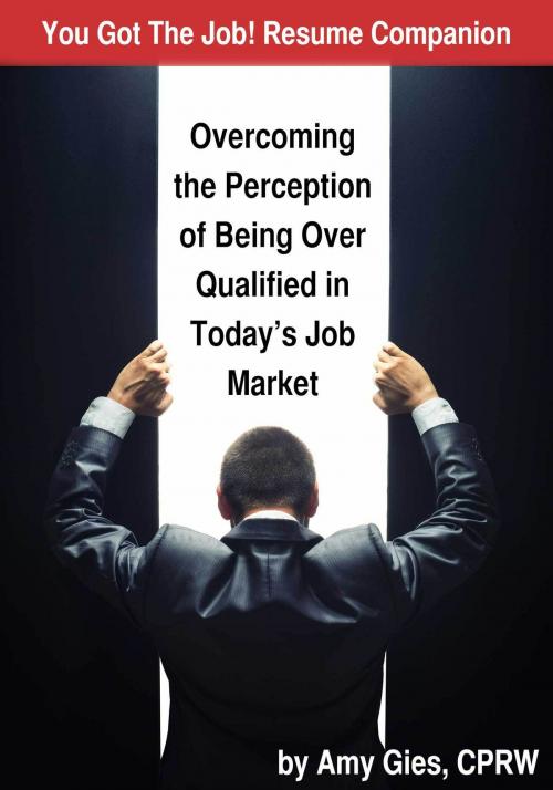 Cover of the book You Got The Job! Resume Companion-Overcoming the Perception of Being Over Qualified in Today's Job Market by Amy Gies, CPRW, Amy Gies, CPRW