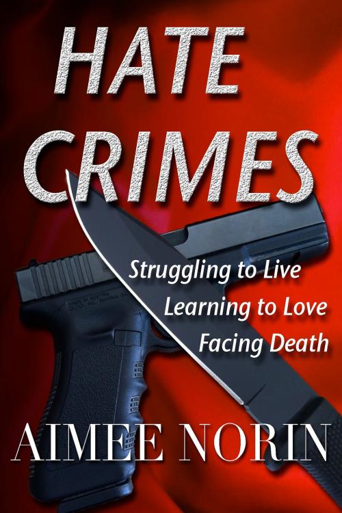 Cover of the book Hate Crimes by Aimee Norin, Aimee Norin