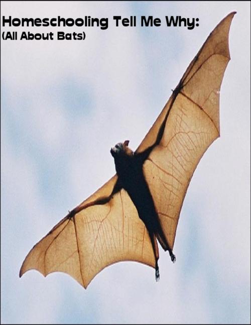 Cover of the book Homeschooling Tell Me Why: (All About Bats) by Sean Mosley, Lulu.com