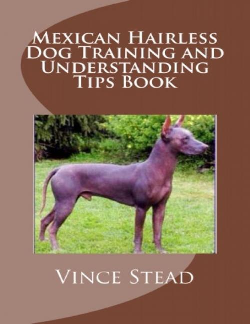 Cover of the book Mexican Hairless Dog Training and Understanding Tips Book by Vince Stead, Lulu.com