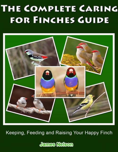 Cover of the book The Complete Caring for Finches Guide: Keeping, Feeding and Raising Your Happy Finch by James Nelson, Lulu.com