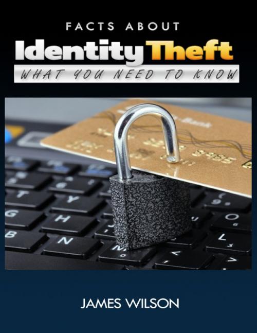 Cover of the book Facts About Identity Theft: All You Need to Know by James Wilson, Lulu.com
