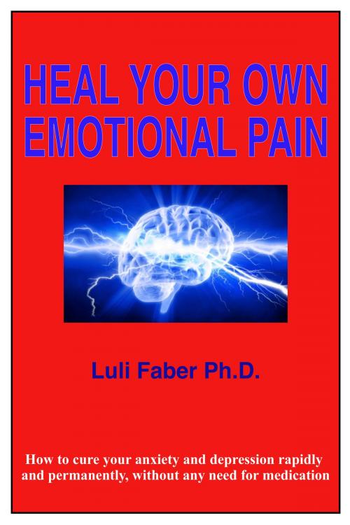 Cover of the book Heal Your Own Emotional Pain by Luli Faber, Luli Faber