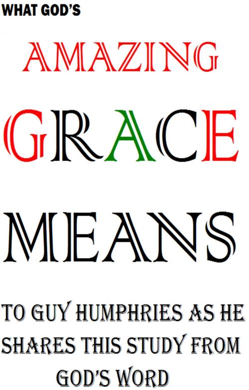 Cover of the book Amazing Grace Means by Guy Humphries, Guy Humphries