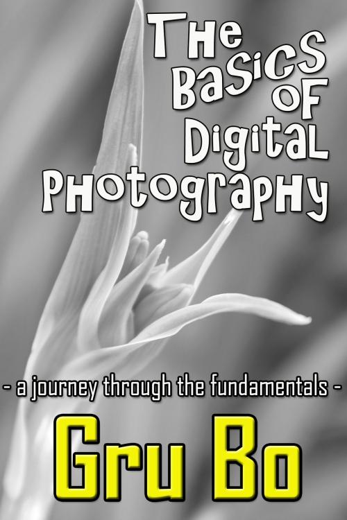 Cover of the book The Basics of Digital Photography: A Journey Through The Fundamentals by Gru Bo, Gru Bo